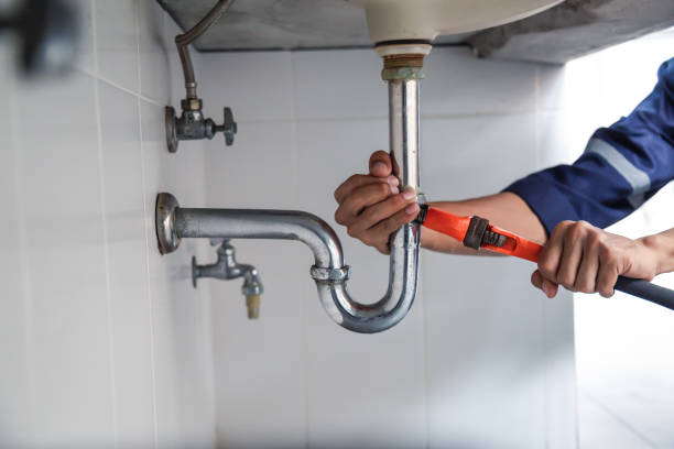 Best Affordable Plumbing Services  in North Lewisburg, OH